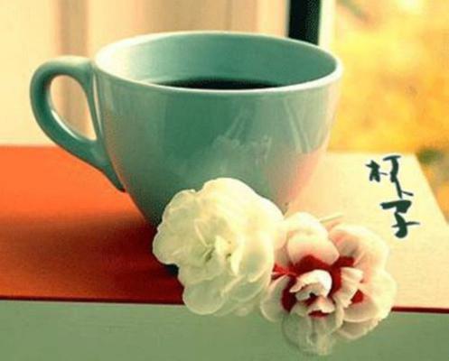 禁庭春昼，蔷薇依旧沈如薇贺云朝完本+(沈如薇贺云朝)一口气阅读禁庭春昼，蔷薇依旧沈如薇贺云朝：结局+番外最新章节列表_笔趣阁（沈如薇贺云朝）