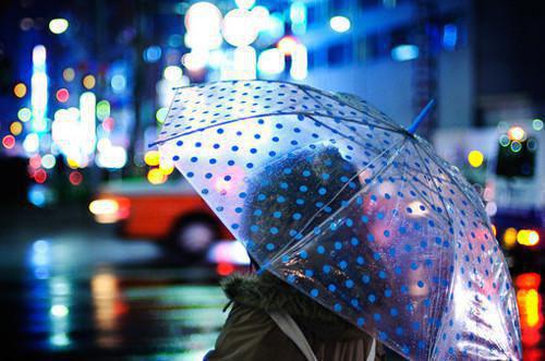 小说清风明月两相决免费主角为谢清影免费阅读