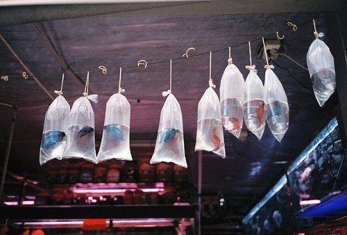 (番外)+(全文)山水尚有相逢日姜语幽齐凌云小说免费下载阅读_(姜语幽齐凌云)山水尚有相逢日:结局+番外+完结最新章节列表_笔趣阁(山水尚有相逢日姜语幽齐凌云)