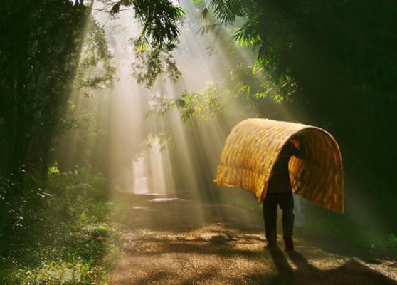 (番外)+(全文)重生八零，手撕让我白给他们养儿的渣夫贱妹小说免费阅读下载阅读_(吴建华乔桂香乔耀祖)重生八零，手撕让我白给他们养儿的渣夫贱妹小说免费阅读最新章节列表_笔趣阁（吴建华乔桂香乔耀祖）