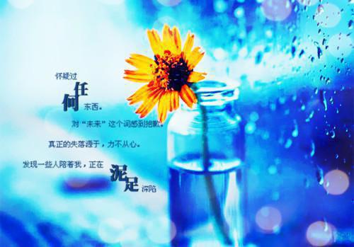 提离婚你装高冷,我发财了你发疯：结局+番外（容辞封庭深）全文免费阅读无弹窗大结局_容辞封庭深全文最新章节列表_笔趣阁（提离婚你装高冷,我发财了你发疯：结局+番外）