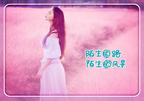高三冲刺高考励志标语