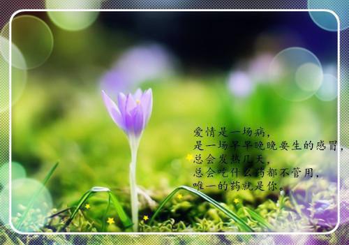 (番外)+(全文)所谓爱情，水月镜花：结局+番外（顾墨云江晚顾卿卿万阅）全文免费阅读无弹窗大结局_（所谓爱情，水月镜花：结局+番外免费阅读全文大结局）最新章节列表_笔趣阁（所谓爱情，水月镜花：结局+番外）