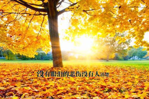 大班情景故事稿本