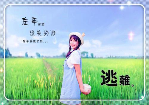 你的晚风寄余生：结局+番外（江稚晚周阐烬）全文免费阅读无弹窗大结局_你的晚风寄余生：结局+番外（江稚晚周阐烬）最新章节列表_笔趣阁江稚晚周阐烬