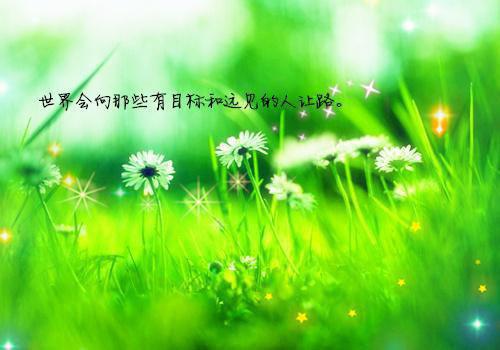 网络里等你的爱情散文大全