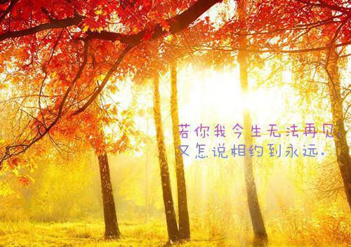 (番外)+(全文)愿你不染人间愁：全文+后续+结局（傅慎川沈兮棠）完结阅读无弹窗大结局_(傅慎川沈兮棠)最新章节列表_笔趣阁（愿你不染人间愁：全文+后续+结局）