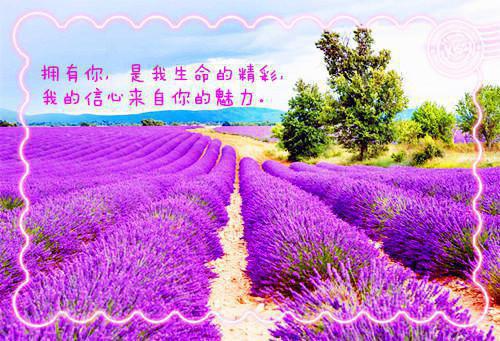 黎安安全章节_沟渠之上见青山免费小说阅读