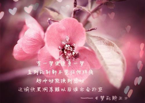 表达心情不好的签名郁闷伤感 不加糖的柠檬茶是酸的
