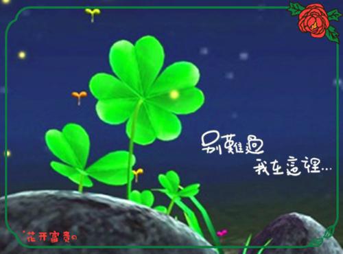 孤傲高冷的超级拽的签名 孤傲高冷的个性拽拽签名