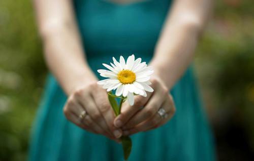 (番外)+(全文)孟锦书阮南卿（春风汀雨落竹眠：结局+番外）完整全文在线阅读_孟锦书阮南卿小说全章节目录阅读（春风汀雨落竹眠：结局+番外）