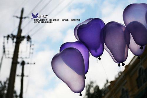 顾欣芸谢永淳：+结局+番外已完结小说（顾欣芸谢永淳）最新章节_顾欣芸谢永淳：+结局+番外已完结小说