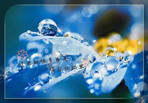 重生七零不当军嫂去报国:大结局+番外何雨薇陆云霄免费阅读无弹窗大结局完结《重生七零不当军嫂去报国:大结局+番外》何雨薇陆云霄全集在线阅读