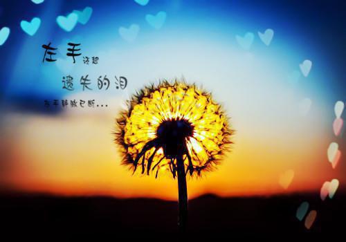 (番外)+(结局)付斯越许南烟（风月与你再不相逢：结局+番外）全文免费阅读无弹窗大结局_(付斯越许南烟)最新章节列表_笔趣阁（风月与你再不相逢：结局+番外）