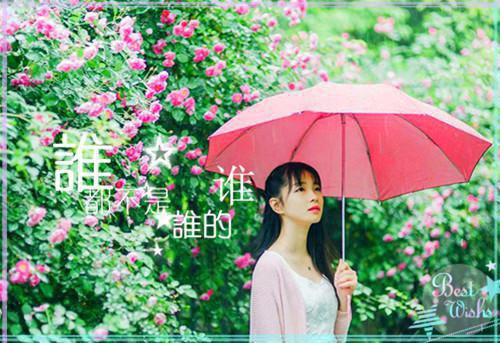 温暖的句子：那些温暖人心的话语