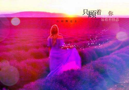 南笙顾砚深：全文+后续+结局已完结小说（南笙顾砚深）最新章节_南笙顾砚深：全文+后续+结局已完结小说