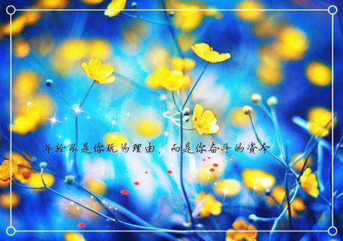 狮子王电影名言，经典哲理台词