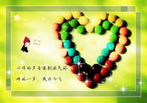 骗我破产后，偏心爸妈后悔了安嫣嫣安晴晴完结版全章节阅读