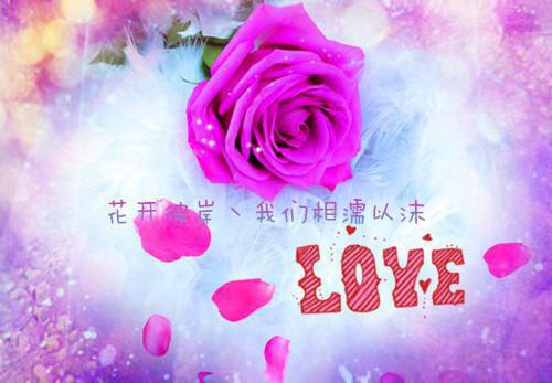 佚名的小说提离婚你装高冷我发财了你发疯 封庭深容辞全文阅读