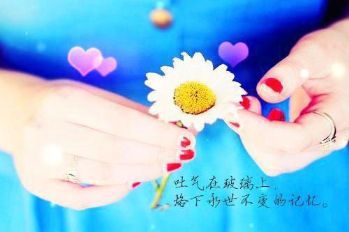 诚信的格言