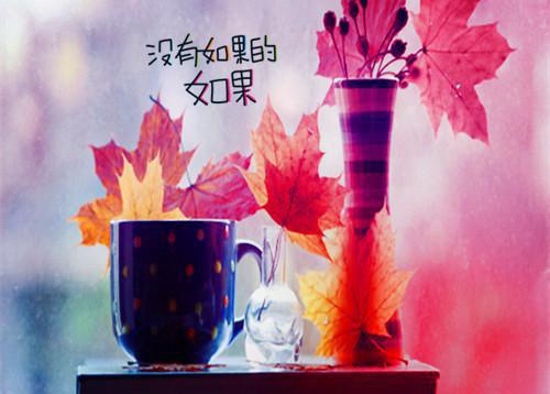 伤感女生专用唯美清新的qq签名 爱像圆周率无限不循环