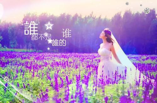 关于清明节的诗句——《寒食》