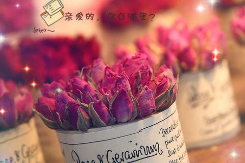 傅慎川沈兮棠：结局+番外（沈兮棠傅慎川）全文免费阅读无弹窗大结局_傅慎川沈兮棠：结局+番外（沈兮棠傅慎川）最新章节列表_笔趣阁沈兮棠傅慎川