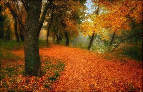 (番外)+(全文)满心眷恋无人语又名余生即便不是你：满心眷恋无人语又名余生即便不是你+免费下载阅读_(姜熙妍陆知年)满心眷恋无人语又名余生即便不是你：满心眷恋无人语又名余生即便不是你最新章节列表_笔趣阁（姜熙妍陆知年）