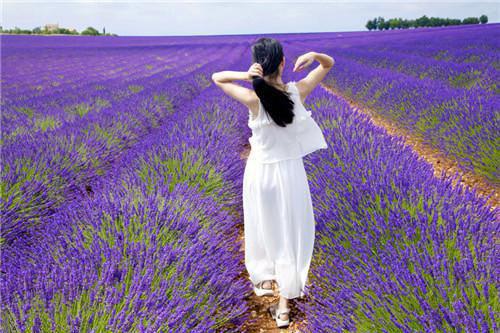 他的爱消弭在扮演之下顾清歌周明霄：全文+番外完整全文在线阅读_顾清歌周明霄小说全章节目录阅读（他的爱消弭在扮演之下顾清歌周明霄：全文+番外）