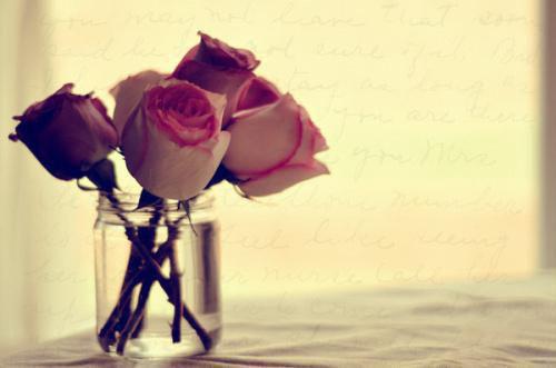 (番外)+(全文)再见，就是再也不见：结局+番外阅读_(阮清莞裴行砚)再见，就是再也不见：结局+番外最新章节列表_笔趣阁（阮清莞裴行砚：结局+番外）