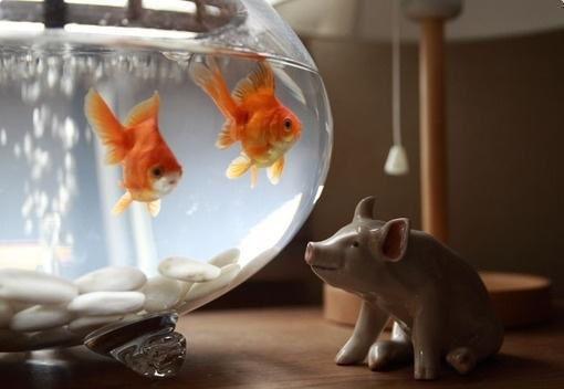 (番外)+(全文阅读)镜花幻影,乾坤朗朗拨云雾小说后续+大结局免费下载阅读_(顾辞凌晟林以棠)高分小说镜花幻影,乾坤朗朗拨云雾:结局+番外+完结最新章节列表_笔趣阁(顾辞凌晟林以棠)