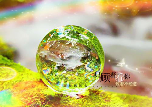 (番外)+(全文)岑黎席砚知（岑黎席砚知：+后续+番外）完整全文在线阅读_(岑黎席砚知)最新章节列表_笔趣阁（岑黎席砚知：+后续+番外）