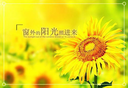 简单的励志哲理短句