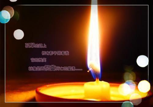 沐卿陆之衡免费沐卿小说_沐卿陆之衡免费完结版阅读