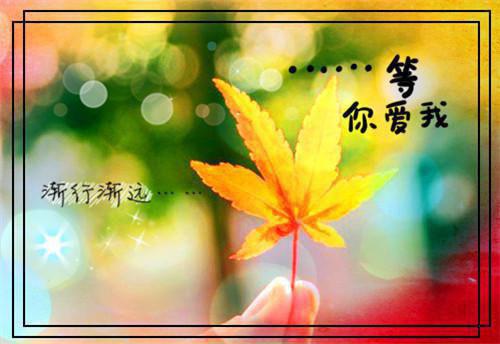 学生手册的家长评语内容（精选24篇）