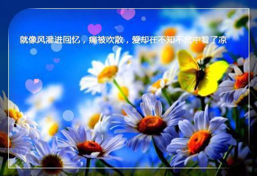 有关夫妻真爱散文