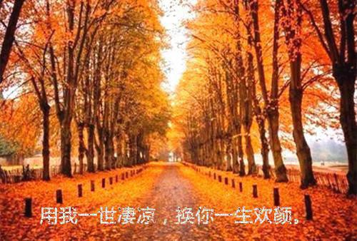 顾燕西的小说千千余念散春风宋昕顾燕西全文阅读