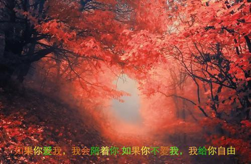 幼儿舞蹈兴趣班学生评语舞蹈兴趣班幼儿评语
