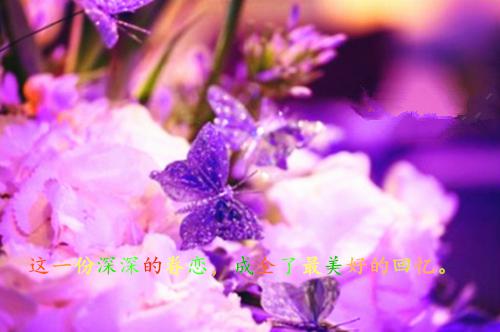 经典励志现代诗歌朗诵大全