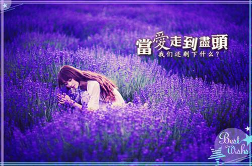 (网恋失败后我成为国民女神黎念江野：结局+番外)无广告无弹窗(黎念江野)全文免费阅读无弹窗大结局_网恋失败后我成为国民女神黎念江野：结局+番外最新章节列表_笔趣阁黎念江野