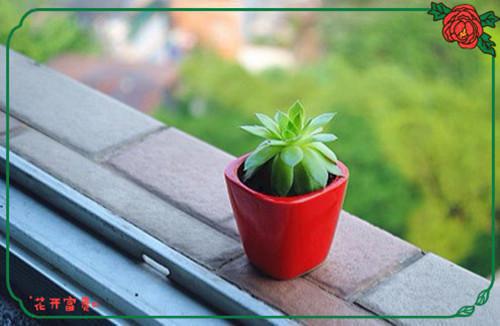 中班成长手册老师评语怎么写(精选5篇)