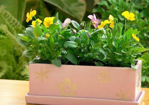 关于高中励志的作文800字记叙文