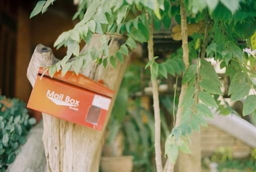 薛雨涵邹逸凡：+结局+番外爱恨纠葛全文阅读（薛雨涵邹逸凡）最新章节_薛雨涵邹逸凡：+结局+番外爱恨纠葛全文阅读