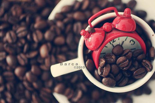 (番外)+(全文)姜青黎靳寒夜（我真的陪他淋过大雨：结局+番外）完整全文在线阅读_(姜青黎靳寒夜)最新章节列表_笔趣阁（我真的陪他淋过大雨：结局+番外）