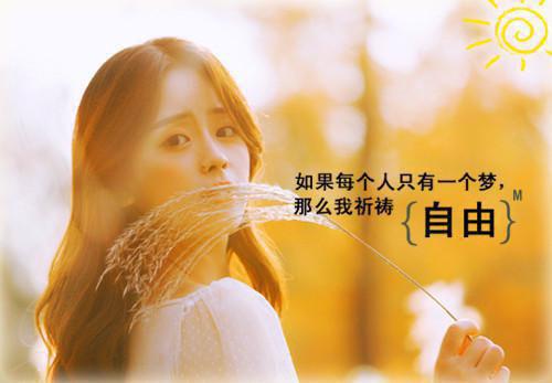 与黑夜共枕：大结局+后续小说许诗瑶霍景深是与黑夜共枕：大结局+后续全文免费许诗瑶霍景深无弹窗大结局完整版在线阅读