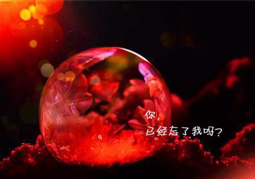 行过忘川不回头：结局+番外（行过忘川不回头：结局+番外）全文免费阅读无弹窗大结局_（骆九州姜笙林清歌阅读无弹窗）骆九州姜笙林清歌列表_笔趣阁（行过忘川不回头：结局+番外)