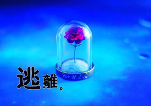 宋南夕周京泽江雪宁千帆：结局+番外（周京泽宋南夕江雪宁）全文阅读无弹窗结局_(谢知凛周京泽宋南夕江雪宁姜韵凝阅读全文结局)结局章节列表_笔趣阁（周京泽宋南夕江雪宁）