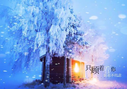 (番外)+(结局)阮流苏周容川（阮流苏周容川：结局+番外）全文免费阅读无弹窗大结局_(阮流苏周容川)最新章节列表_笔趣阁（阮流苏周容川：结局+番外）