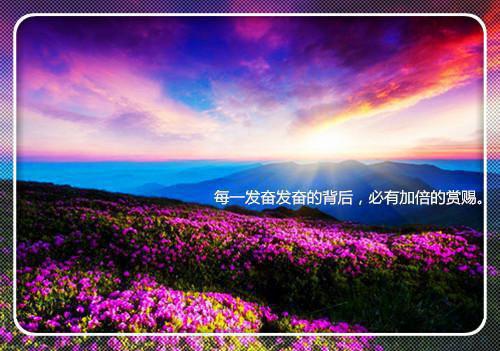 指导教师对硕士学位论文的评语