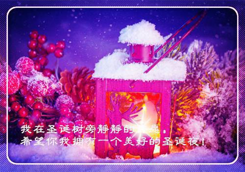 无关爱情无关你不偷风月：结局+番外荃文+置顶（白婉陆云洲白清芷）全文免费阅读无弹窗大结局_（白婉陆云洲白清芷）最新章节